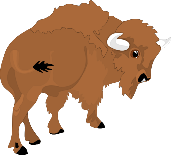 Free Bison Clipart
