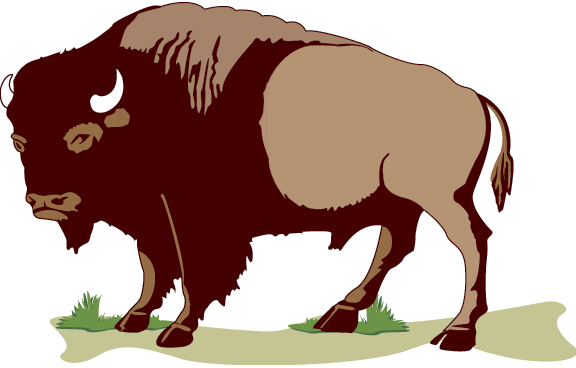 Free Bison Clipart
