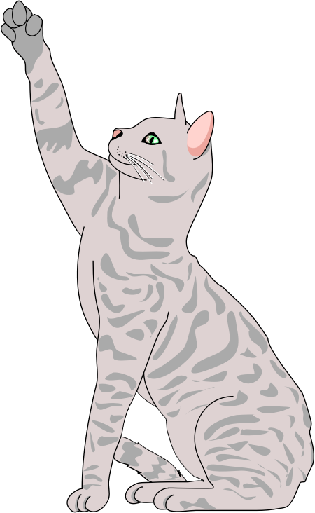 Free Female Cat Clipart