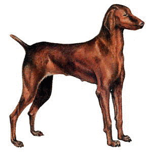 Free Dog Breeds H Clipart