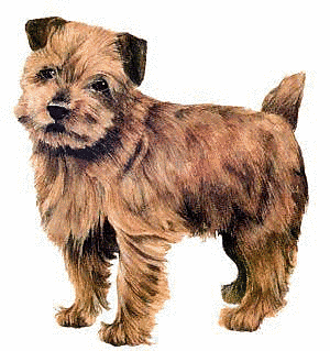Free Dog Breeds N Clipart