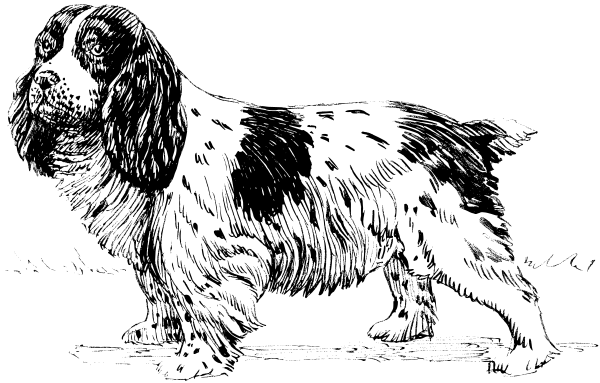 Free Dog Breeds S Clipart