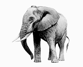 Free Elephant Clipart
