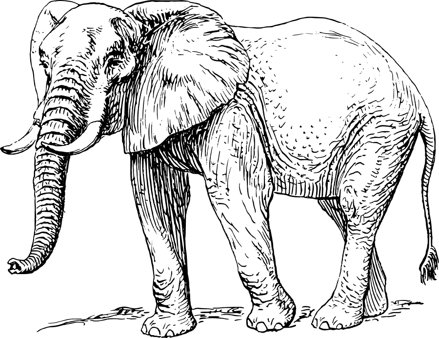Free African Elephant Clipart