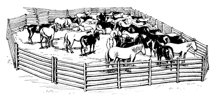Free Wild Horse Roundup Clipart