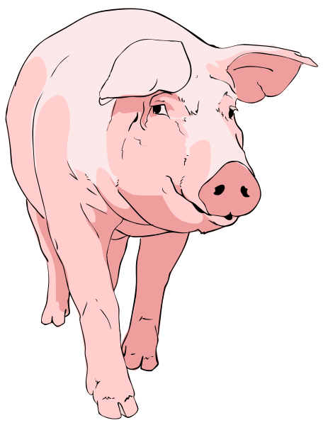 Free Pink Pig Clipart
