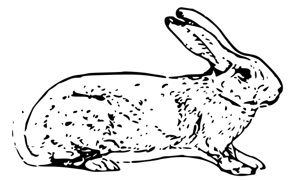 Free Domestic Rabbit Clipart