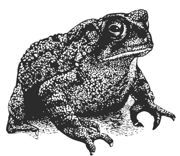 Free Toad Clipart