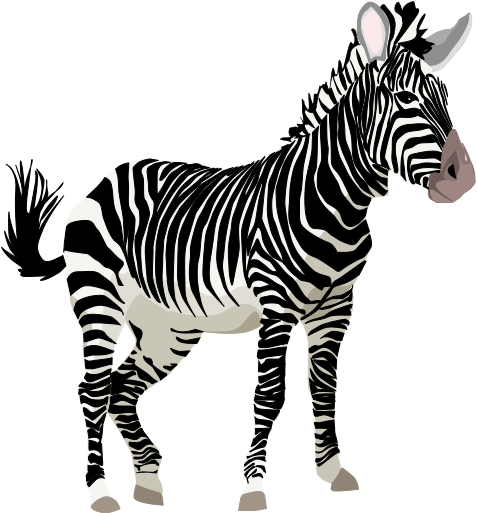 Free Zebra Clipart