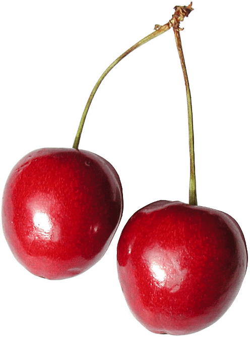 Free Cherry Clipart