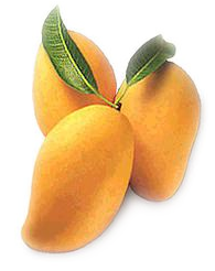 Free Mango Clipart