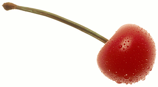 Free Cherry Clipart