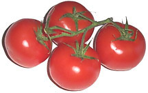 Free Tomato Clipart
