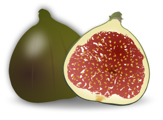 Free Fig Clipart