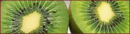 Free Kiwi Fruit Clipart