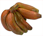Free Banana Clipart