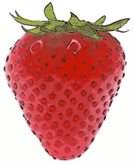 Free Berry Clipart