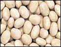 Free Dried Beans Clipart