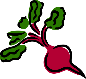 Free Beetroot Clipart