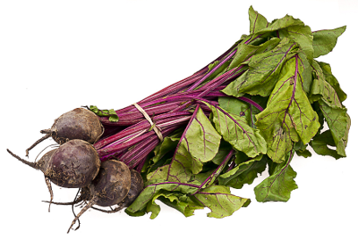 Free Beetroot Clipart