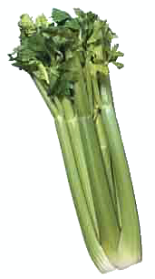 Free Celery Clipart