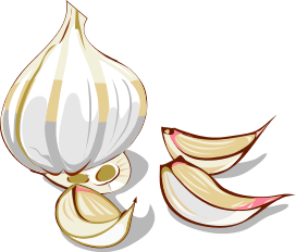 Free Garlic Clipart