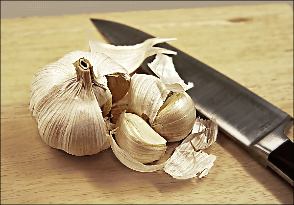 Free Garlic Clipart
