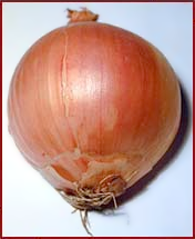 Free Onion Clipart