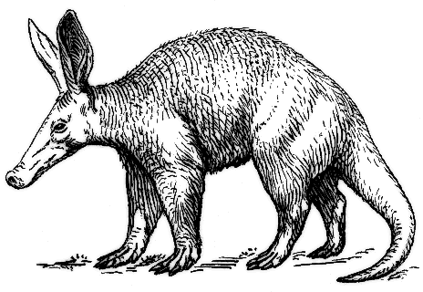 Free Aardvark Clipart