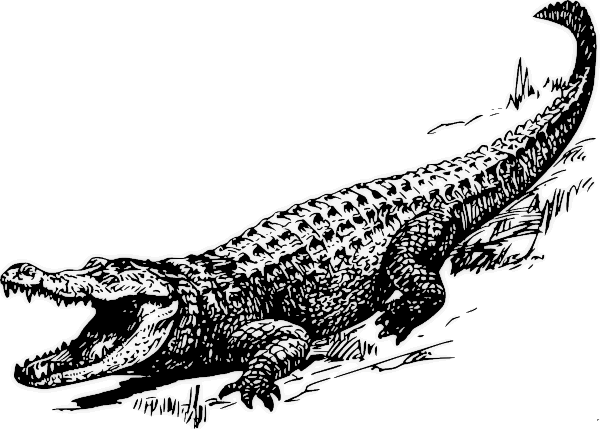 Free Alligator Clipart