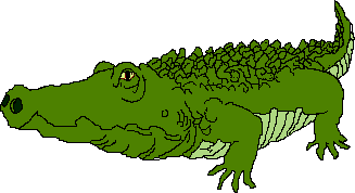 Free Alligator Clipart