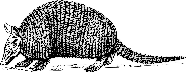 Free Armadillo Clipart