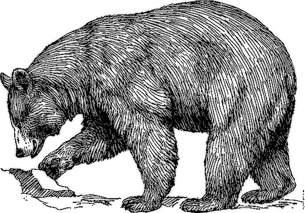 Free Bear Black and White Clipart