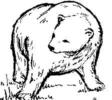 Free Bear Black and White Clipart