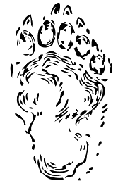 Free Bear Black and White Clipart