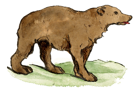 Free Young Bear Clipart