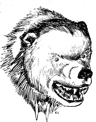 Free Bear Clipart