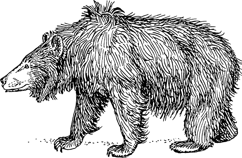 Free Sloth Bear Clipart