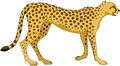 Free Cheetah Clipart