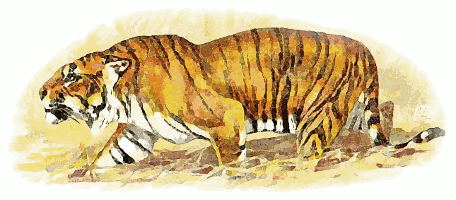 Free Snarling Tiger Clipart