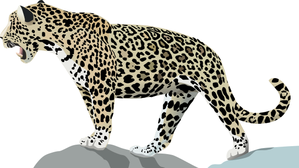 Free Jaguar Clipart