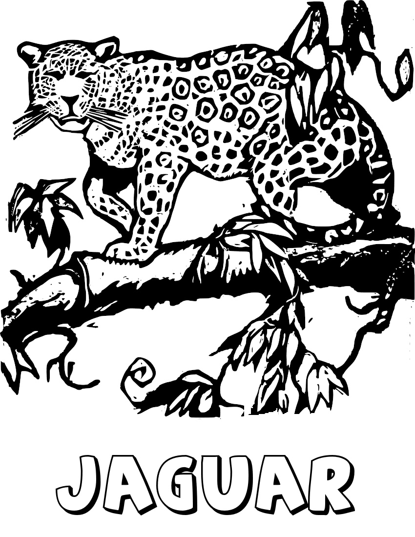 Free Jaguar Clipart