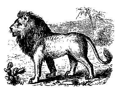 Free Black and White Lion Clipart