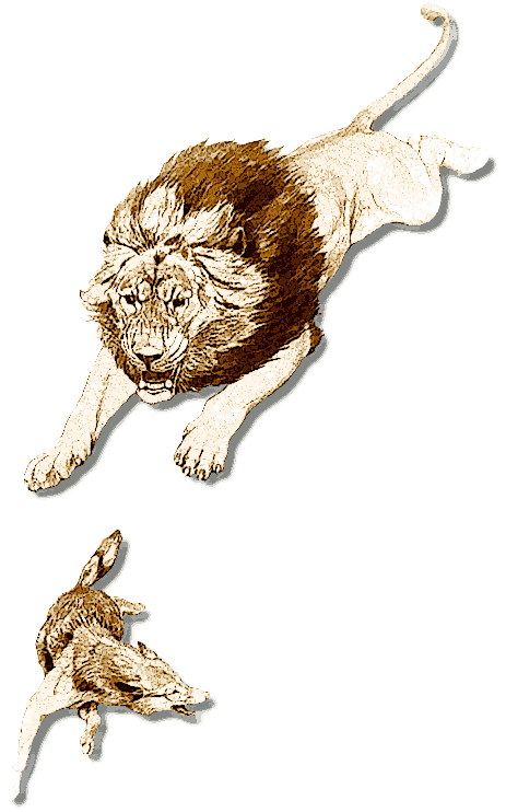 Free Lion Clipart