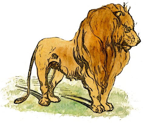 Free Lion Clipart