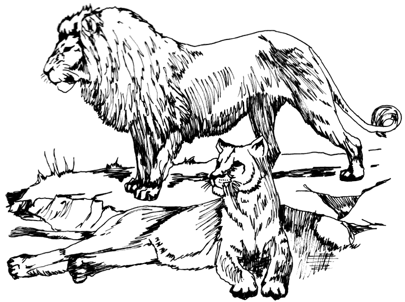 Free Lion Pride Clipart