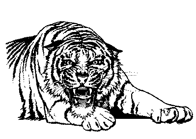 Free Black and White Tiger Clipart
