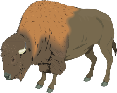 Free Bison Clipart