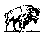 Free Bison Clipart