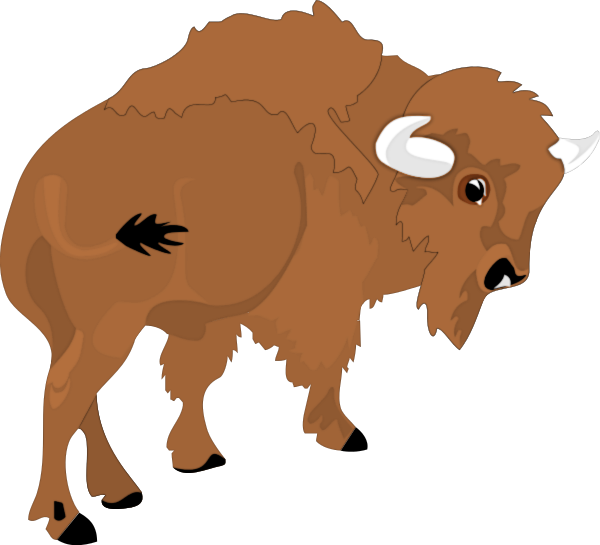 Free Buffalo Clipart